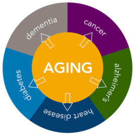 Geroscience the mechanisms of aging and age-related disease