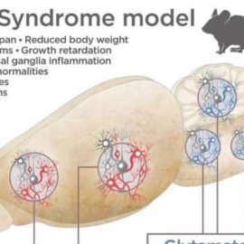 Targeting NAD+ Metabolism as Interventions for Mitochondrial Disease