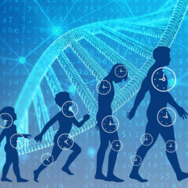 What are the Longevity Genes