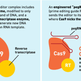 Where to Find Prime Editing Data